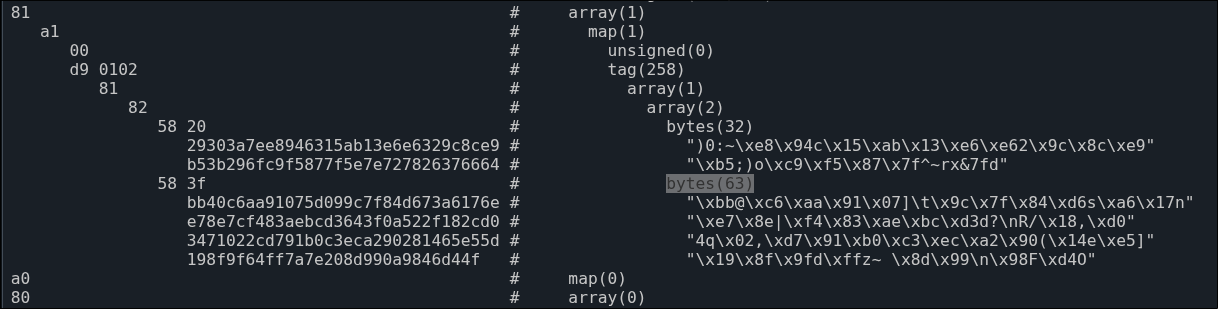 A screenshot from https://cbor.nemo157.com/ showing the truncated 63 byte signature